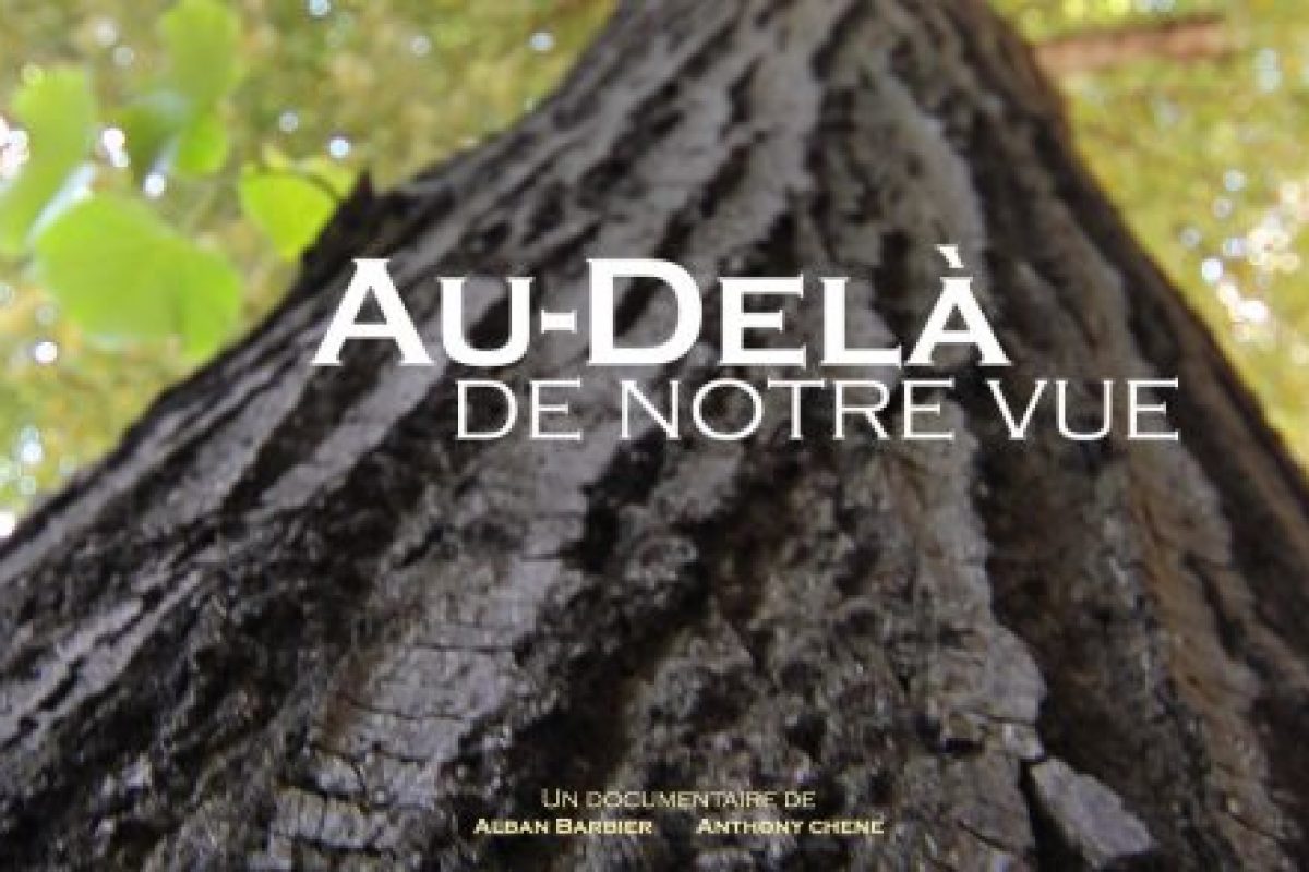 Au-delà de notre vue